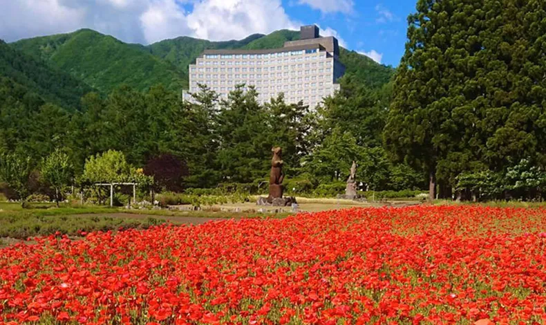 豬苗代花草